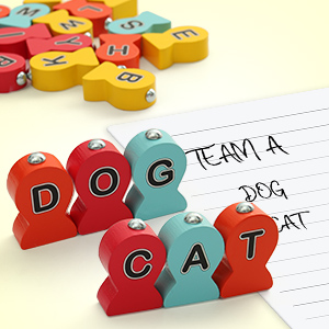 STEM 학습 목재 자기 낚시 게임 몬테소리 문자 인지 장난감 2